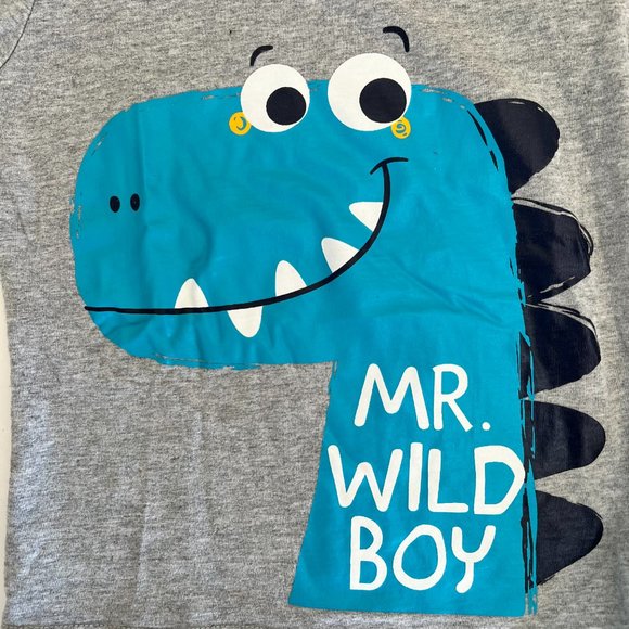 ✨ 5 for $25 ✨ Mr. Wild Boy Blue Dinosaur Matching Pant Set - Picture 2 of 9